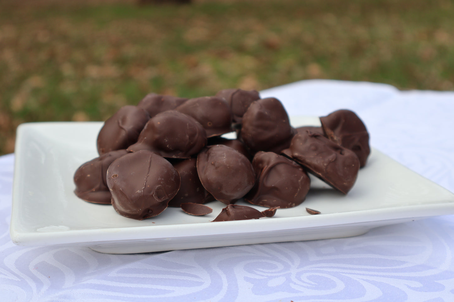Dark Chocolate Coated Prunes