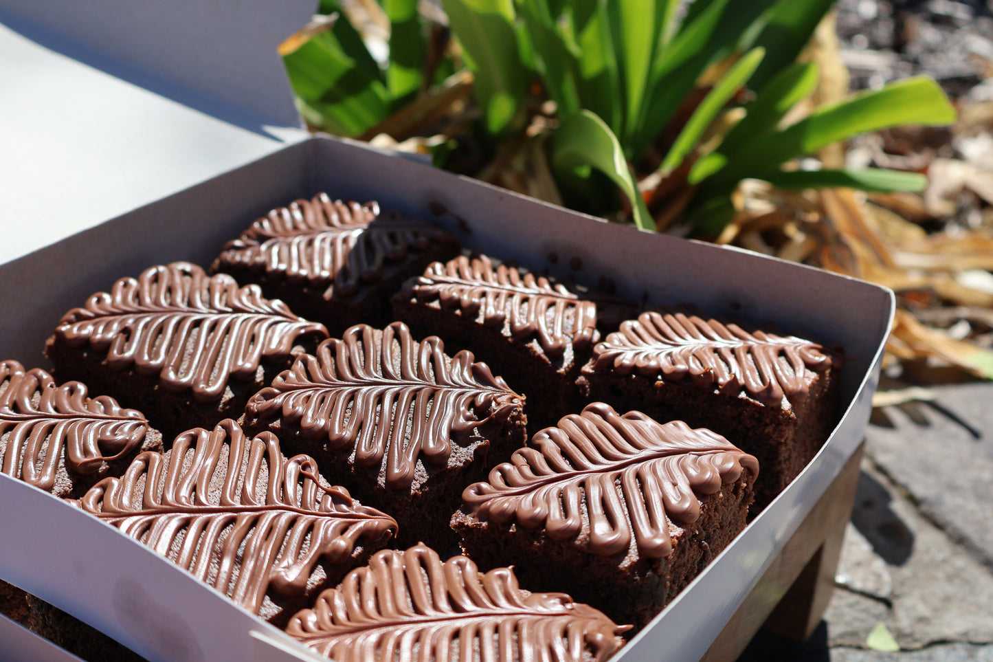 Nutella Brownie Box Set