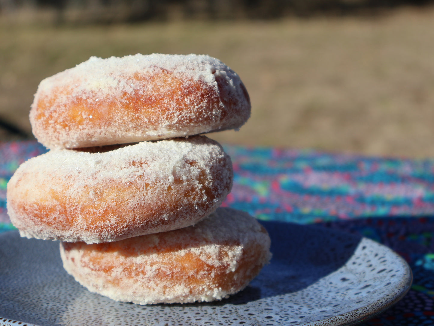 Milk Powdered Coated Donuts