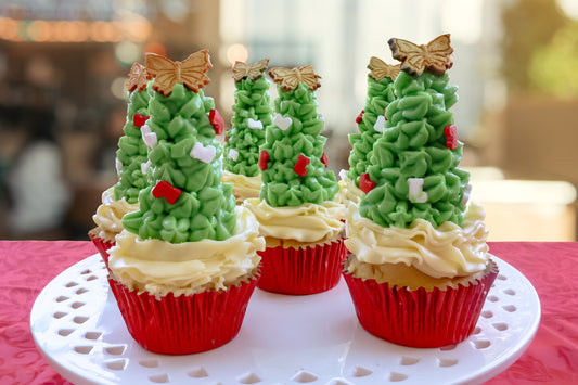 Christmas Tree Cones - Box of Six
